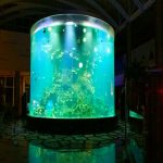 סין מותאמת אישית זול סופר גדול עגול pmma זכוכית אקווריומים ברור טנקים אקריליק דגים