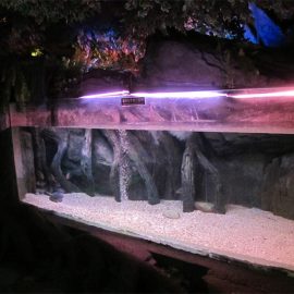 אקריליק בריכת פאנל / חלון עבור הים מתחת למים העולם