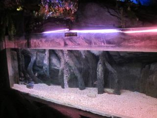 אקריליק בריכת פאנל / חלון עבור הים מתחת למים העולם