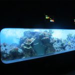 יציקה מלאכותית אקריליק גלילי אקווריום דגים שקופים / חלון ראווה