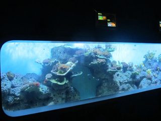 יציקה מלאכותית אקריליק גלילי אקווריום דגים שקופים / חלון ראווה